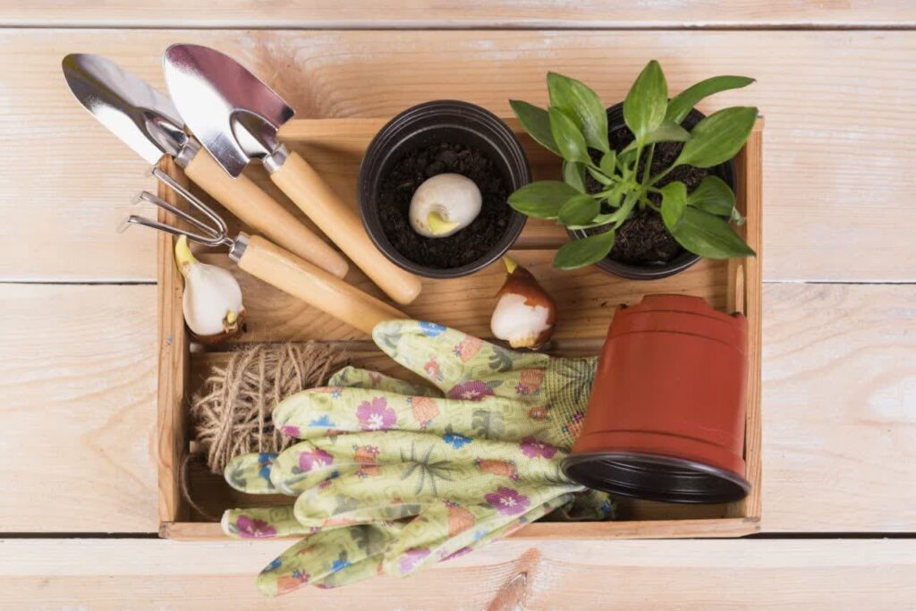 Gardening Starter Collection