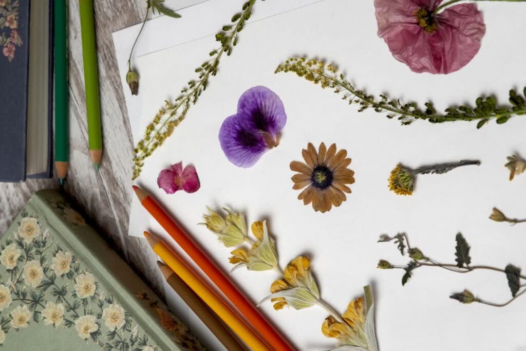 Flower Drawing