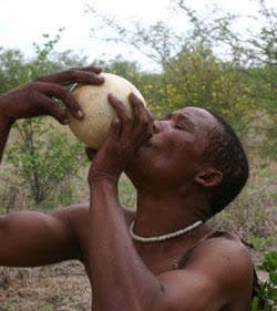 Ostrich Egg